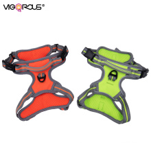 Dog sports harness outdoor